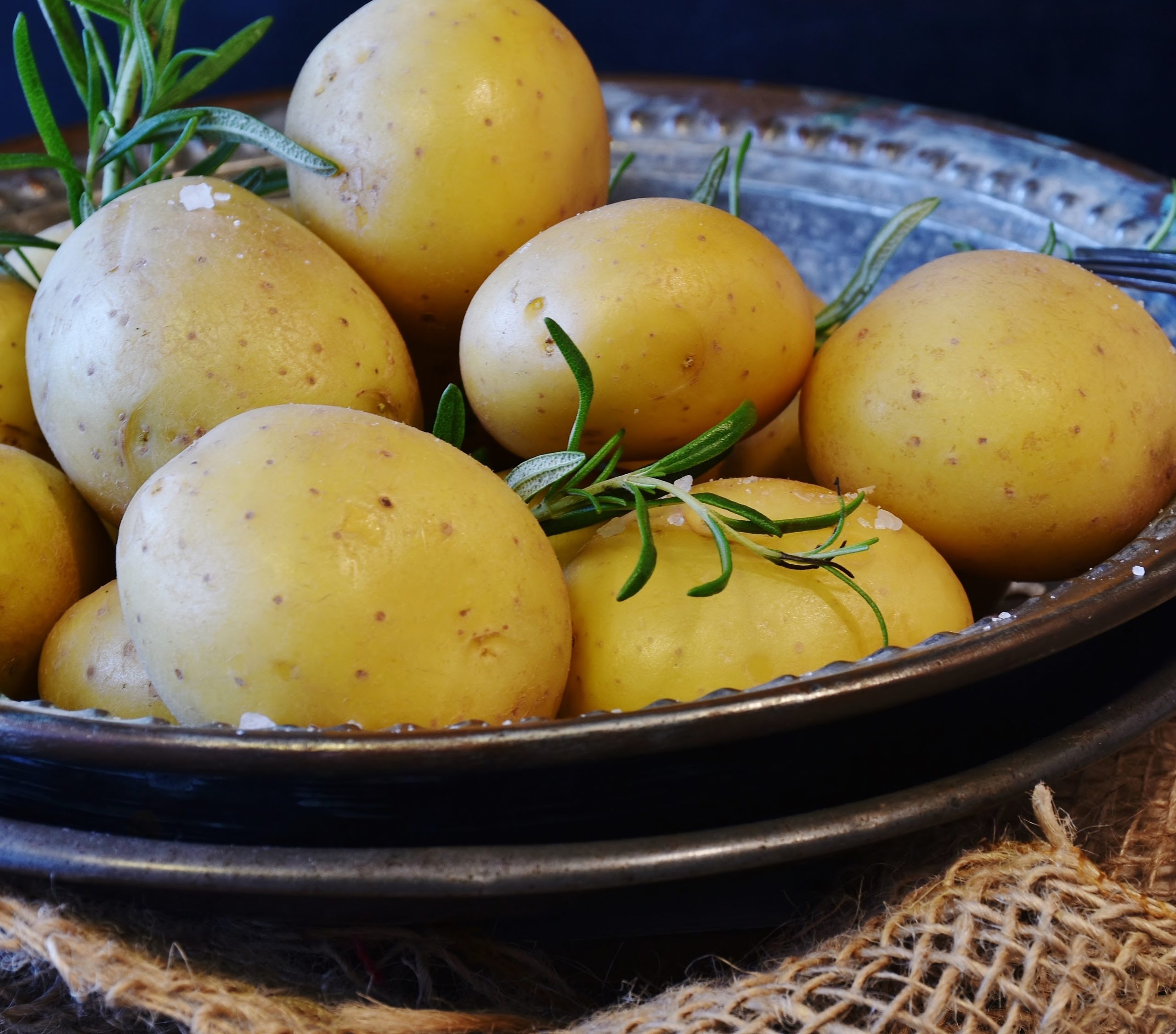 Casablanca Potatoes on a blue bowl with rosemary