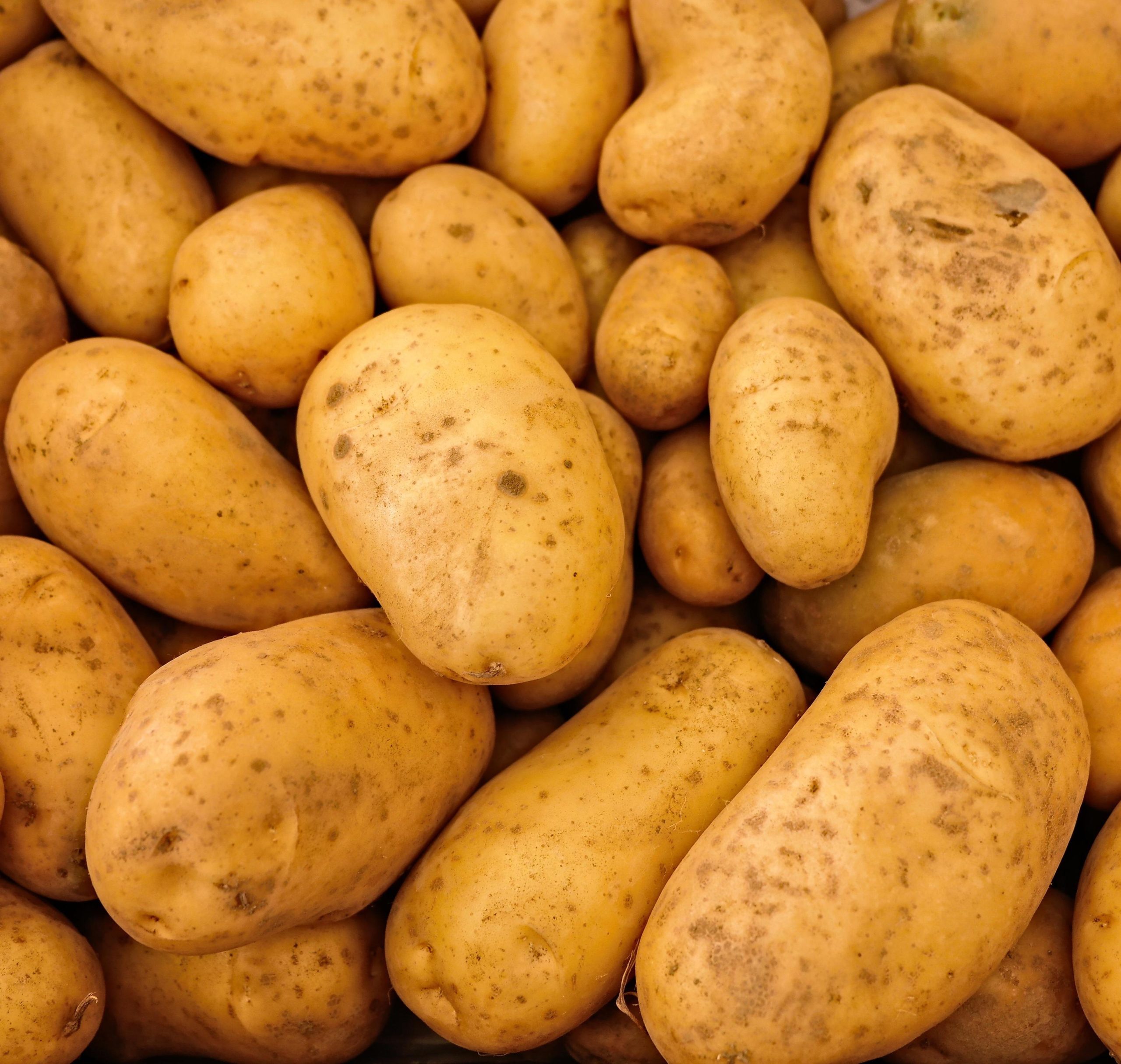 Lady Christl Potatoes