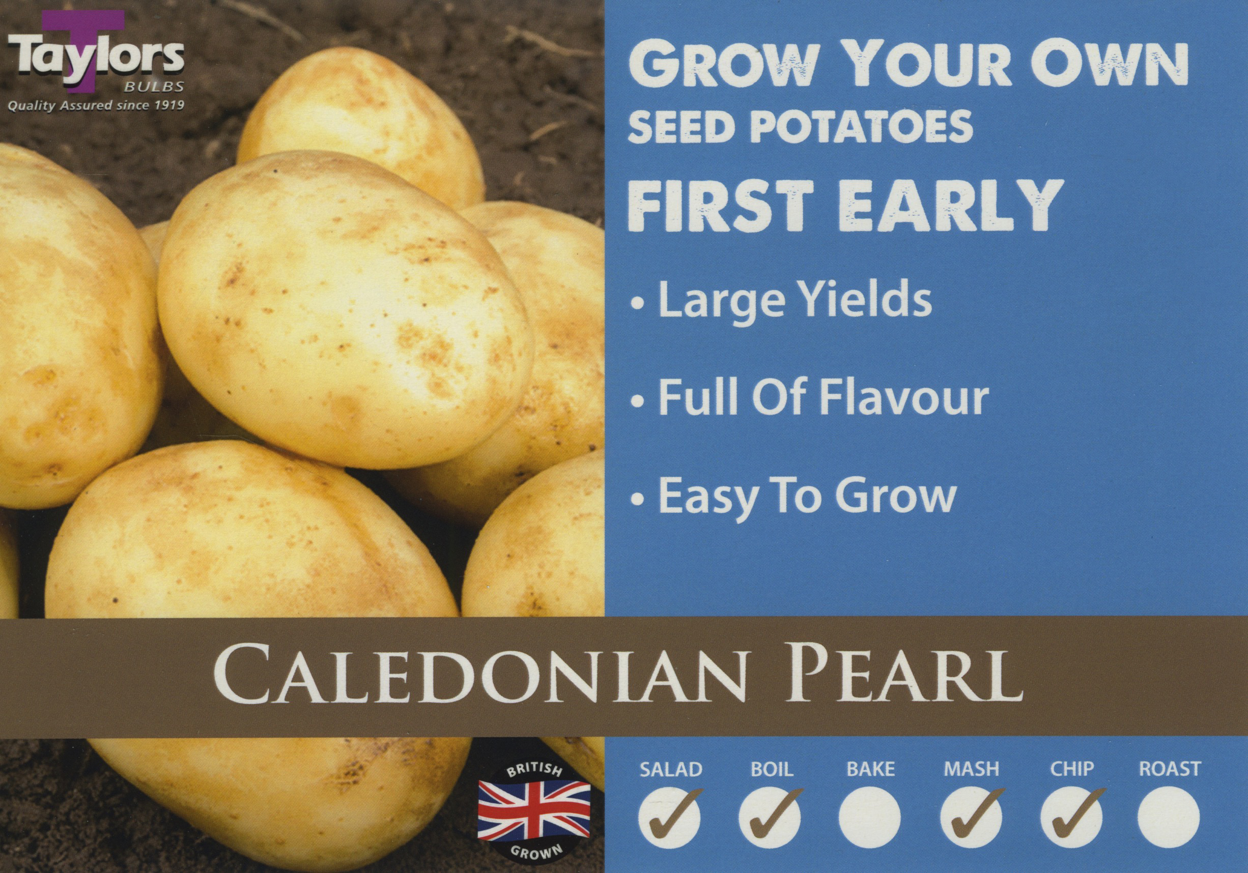 Caledonian Pearl Potatoes - First Early - Image 2