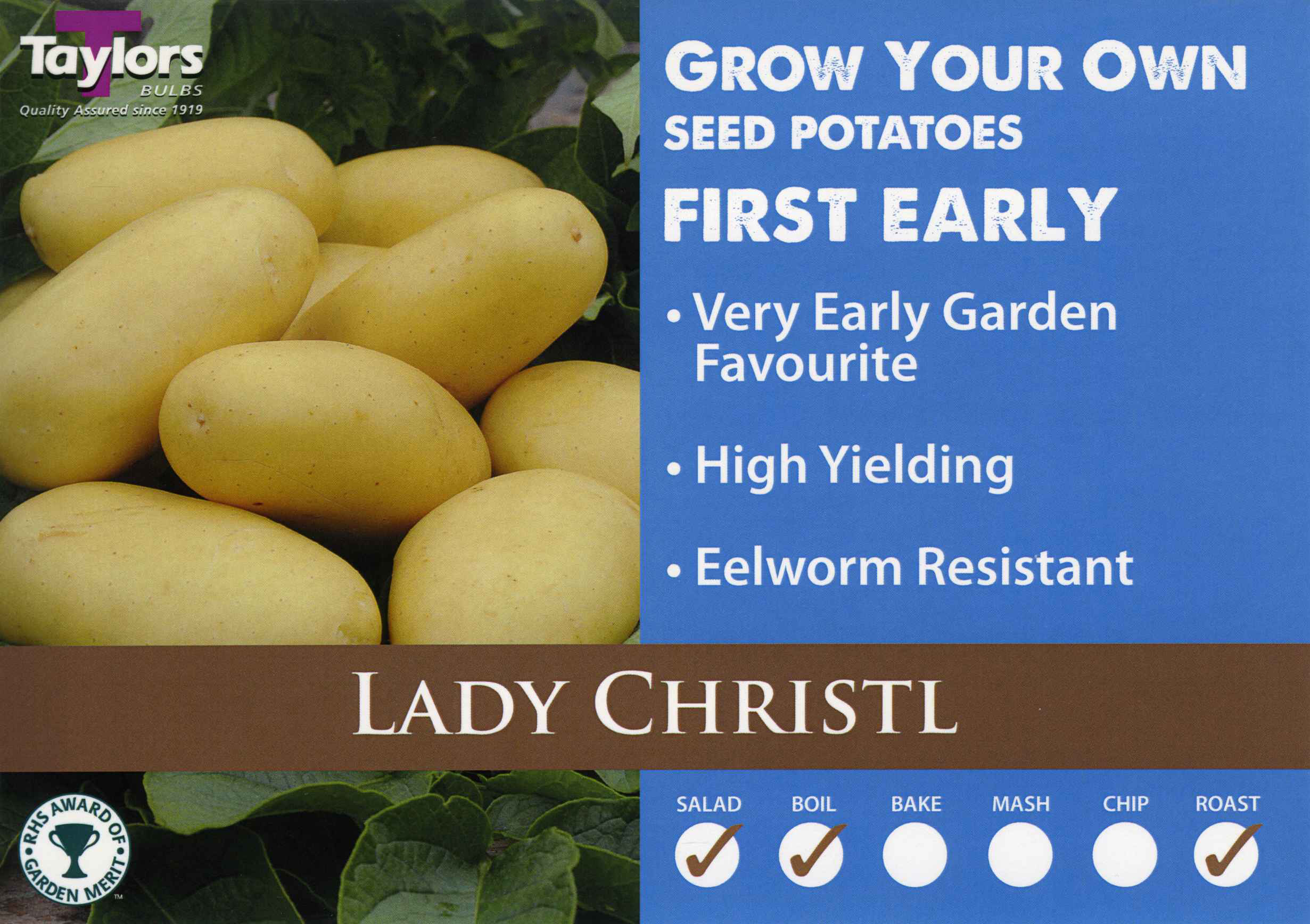 Lady Christl Potatoes - First Early - Image 2