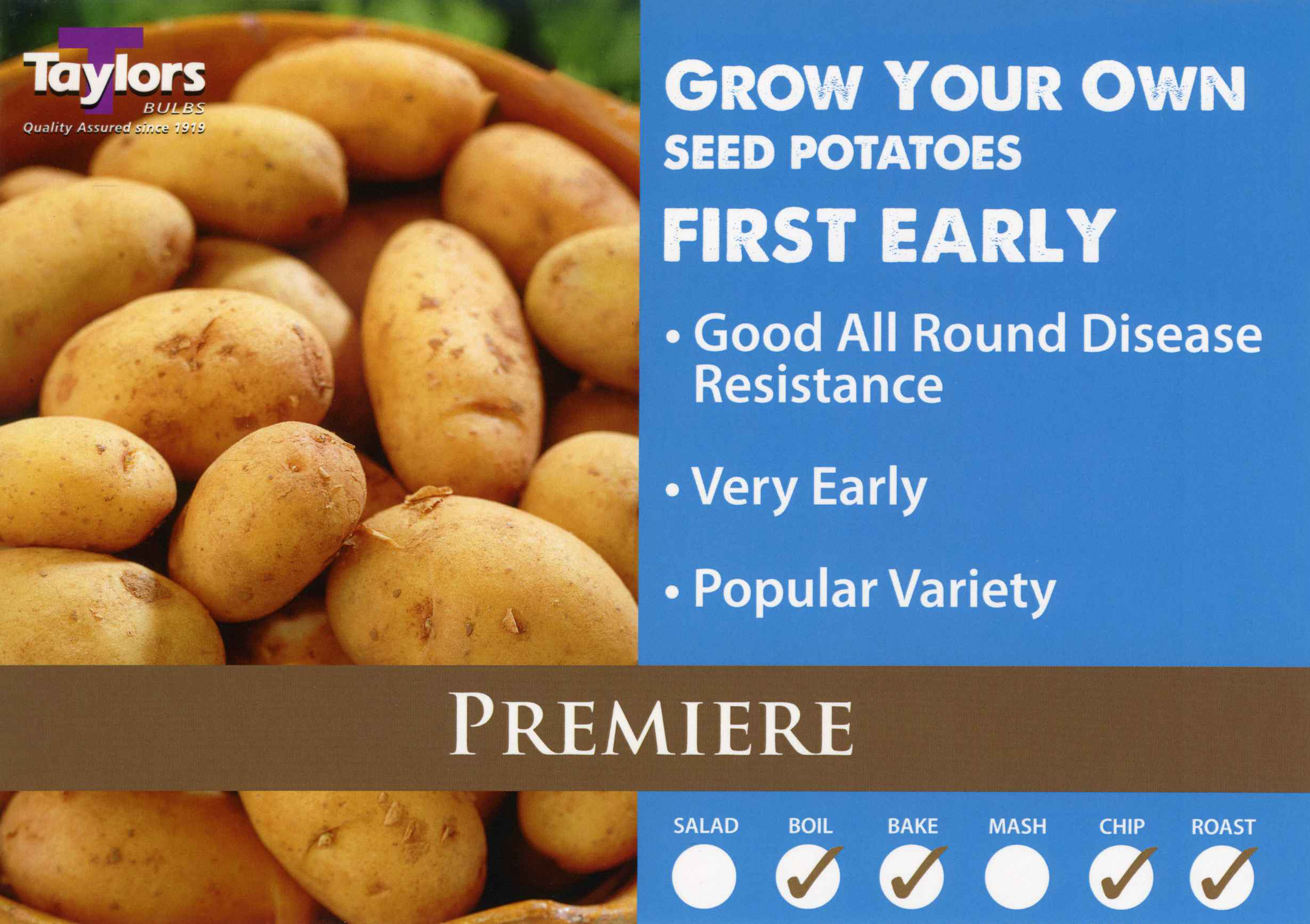 Premiere Potatoes - First Early - Image 2